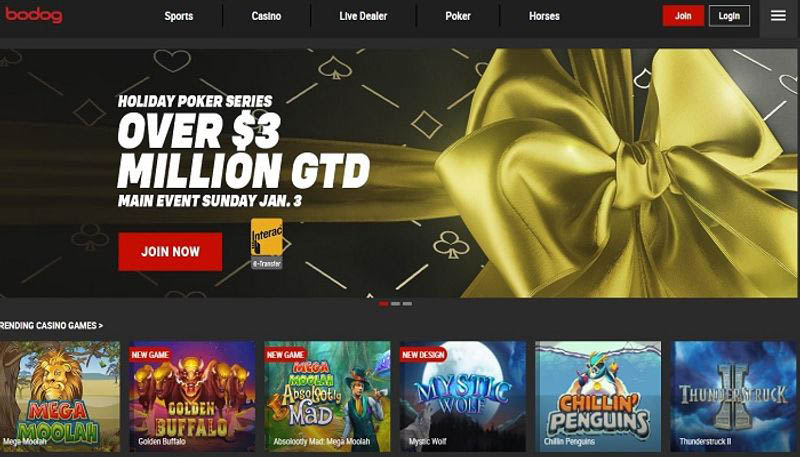 Bodog - Hướng dẫn cách gia nhập nhà cái thần tốc Giao diện